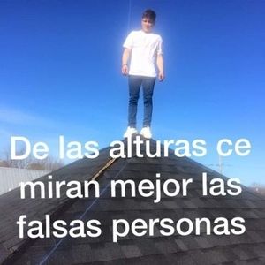 Meet your Posher, Luis